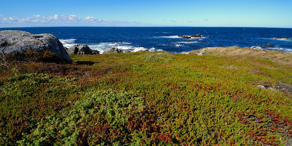 ENE-20100926-0654.jpg - Grates Cove